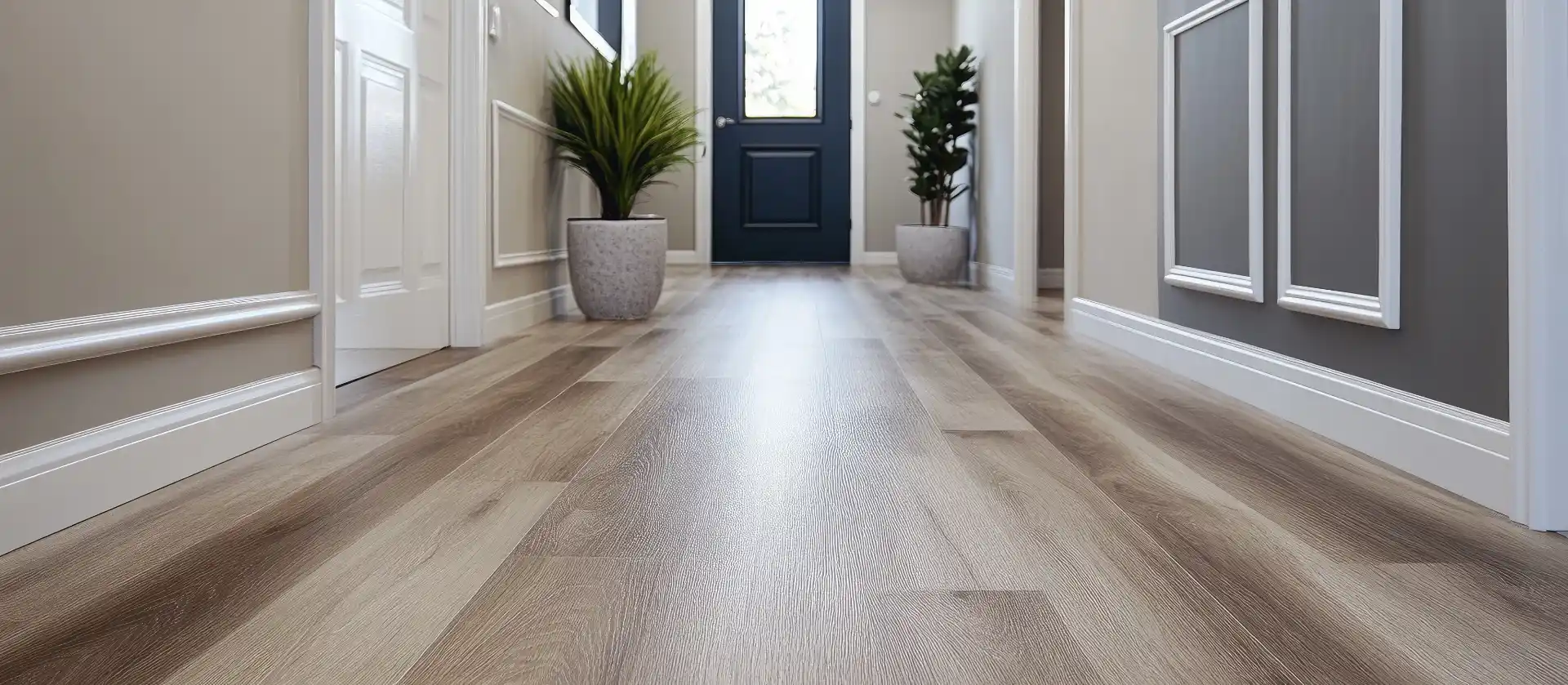 A hallway featuring light-colored wood floors and two potted plants, with a black door at the end