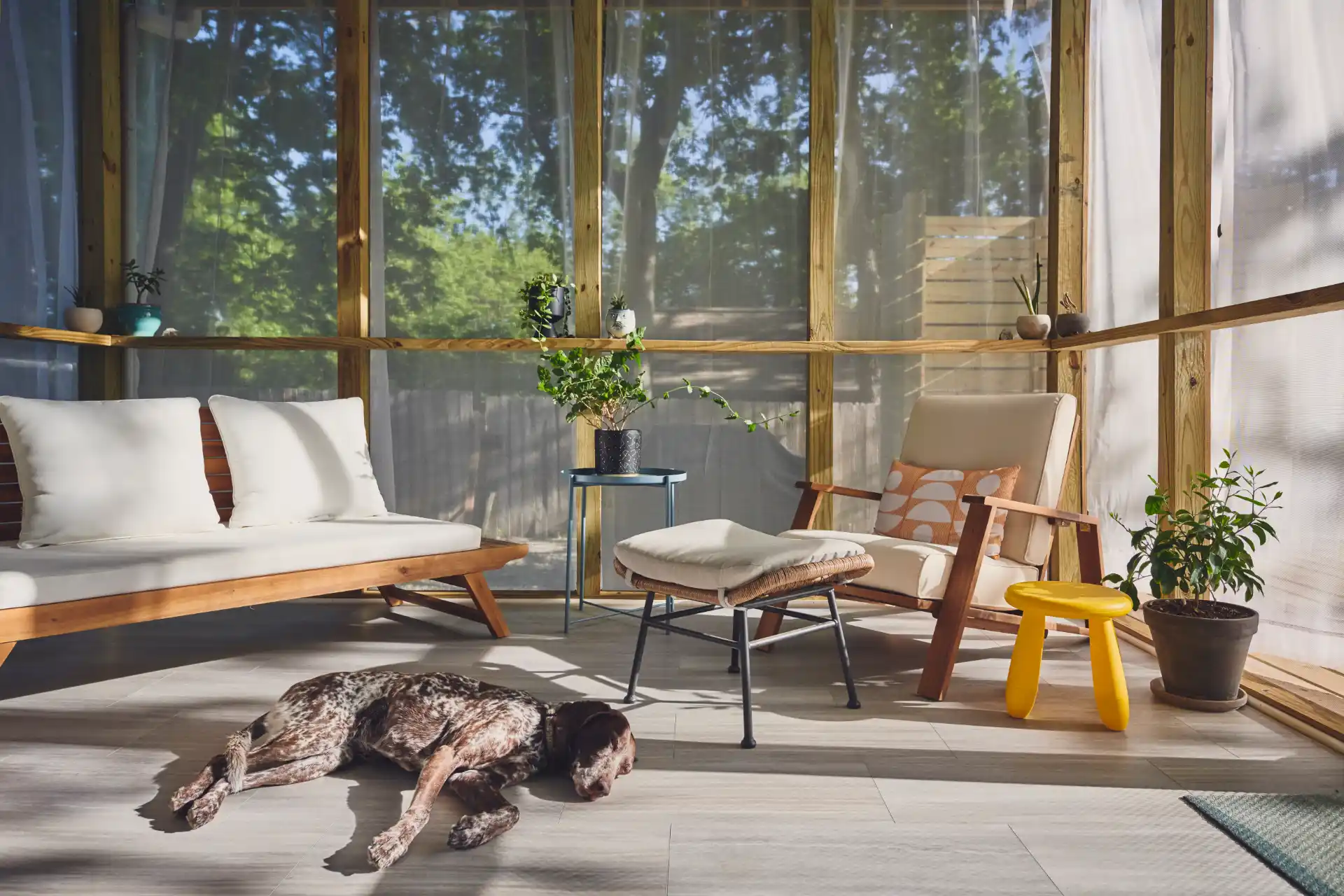 A serene porch scene with a dog, white furniture, and a tree-lined backdrop